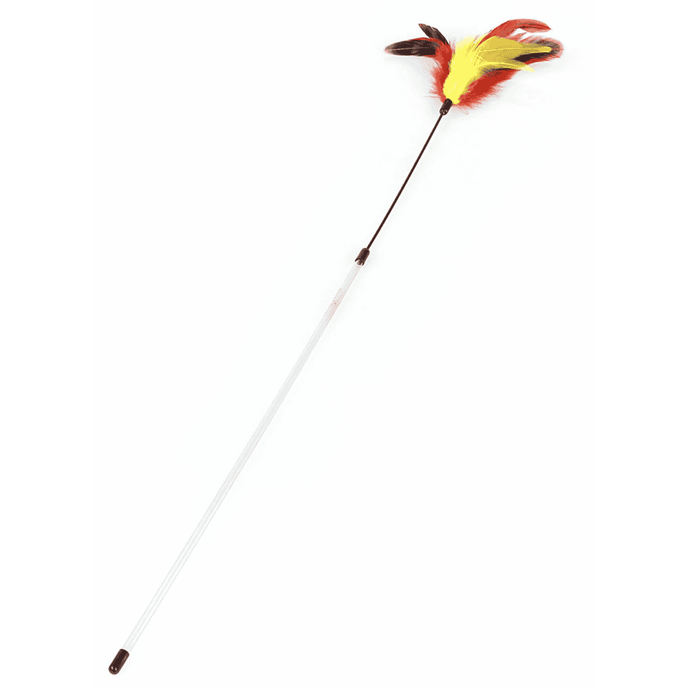 Feather duster Lulu