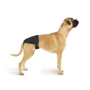 Culottes hygiéniques