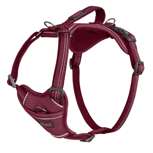 Anatomy Geschirr, magenta