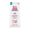Care Dog Puppy Grainfree - Salmon