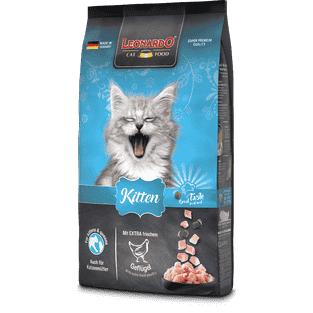 Kitten avec Volaille