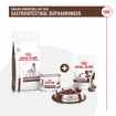 Gastrointestinal Snacks