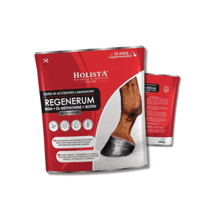 Hoof Expert Regenerum