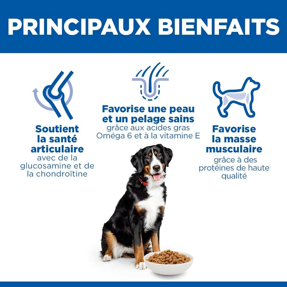 Canine Adult Large Breed Chicken