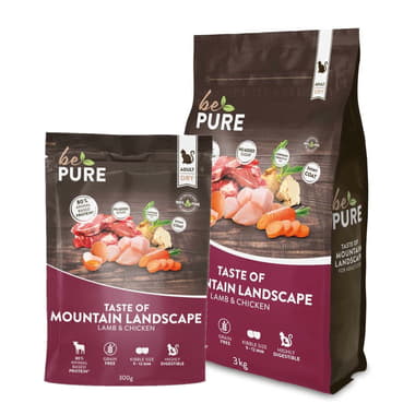 Cat Taste of Mountain Landscape Adult