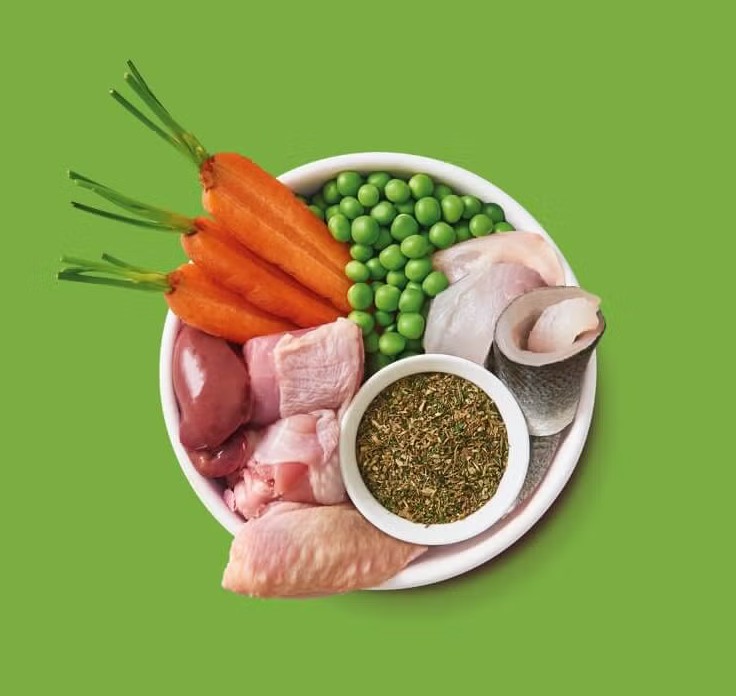 Organic Dinner for Puppies