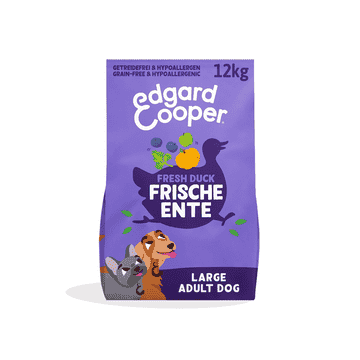 Adult Frische Ente mit Kürbis