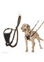 Halti No Pull Harness, noir