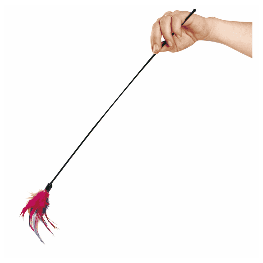 Cat fishing rod feather duster