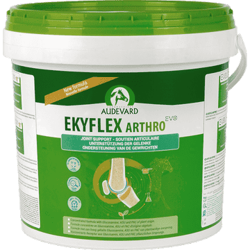 Ekyflex Arthro EVO