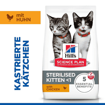 Kitten Sterilised