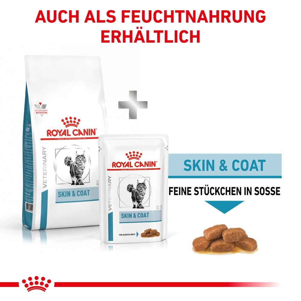 Skin & Coat Cat