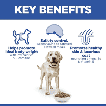 Canine Adult Light Large Breed