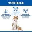 Feline Mature Adult 7+ Chicken Mousse