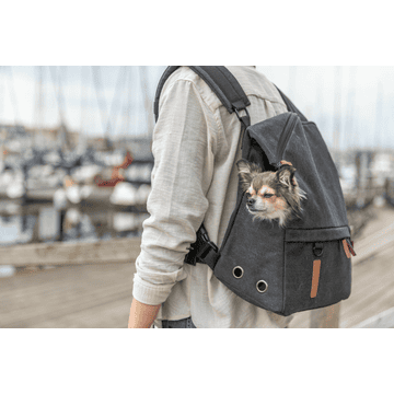 BE NORDIC backpack Bjorn