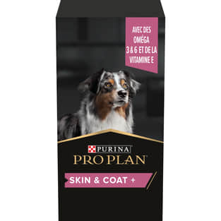Dog Skin & Coat +