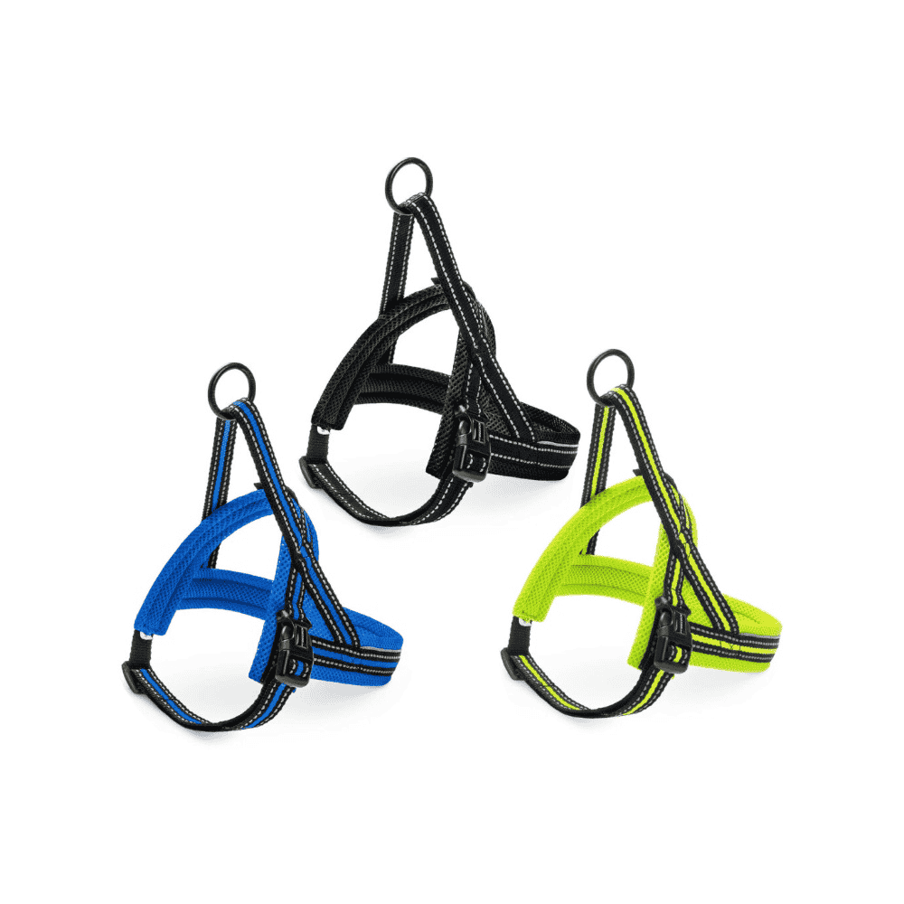 Geschirr Nordic Sport XL