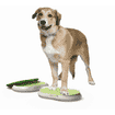 PawCare Large Container, 380 g