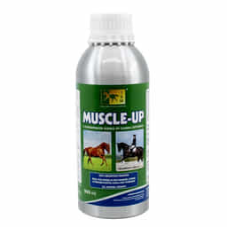 Muscle-Up