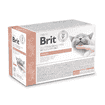 Vet Diet - Cat Renal Wet