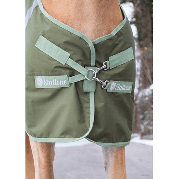 Winter blanket Colorado 300 g