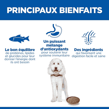 Canine Hypoallergenic Adult Salmon - Boîte