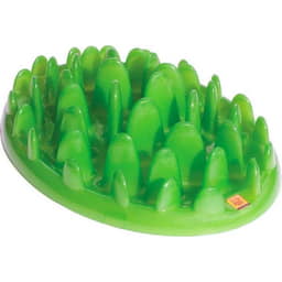 Green Slow Dog Feeder