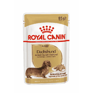 Dachshund - Frischebeutel