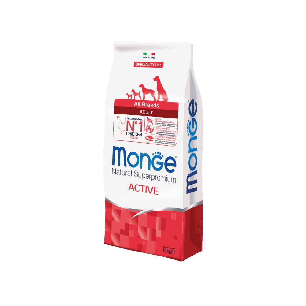 Actif toutes races