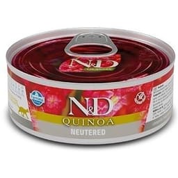 Feline Adult Neutered Schwein