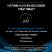 CANINE DRM Dermatosis