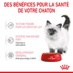 Kitten en sauce - sachet