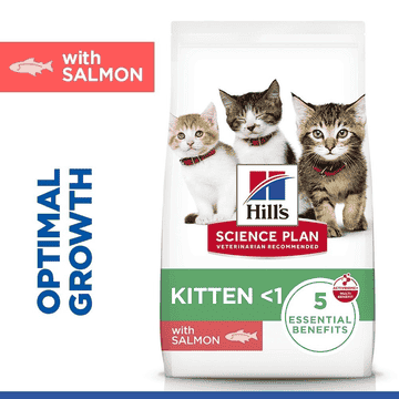 Kitten Tuna (new: Salmon!)