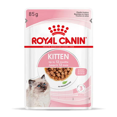 Kitten en sauce - sachet
