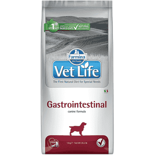 Canine Gastrointestinal
