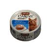 Carny Ocean Adult Cat