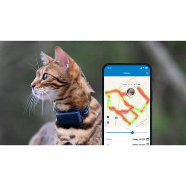 Collier avec Traceur GPS pour Chat & Chien