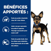 Canine Metabolic Mini Weight loss & Maintenance
