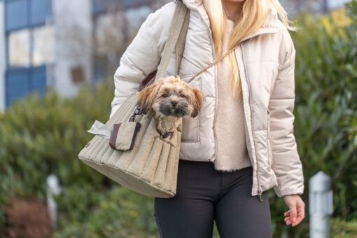 Sophie bag