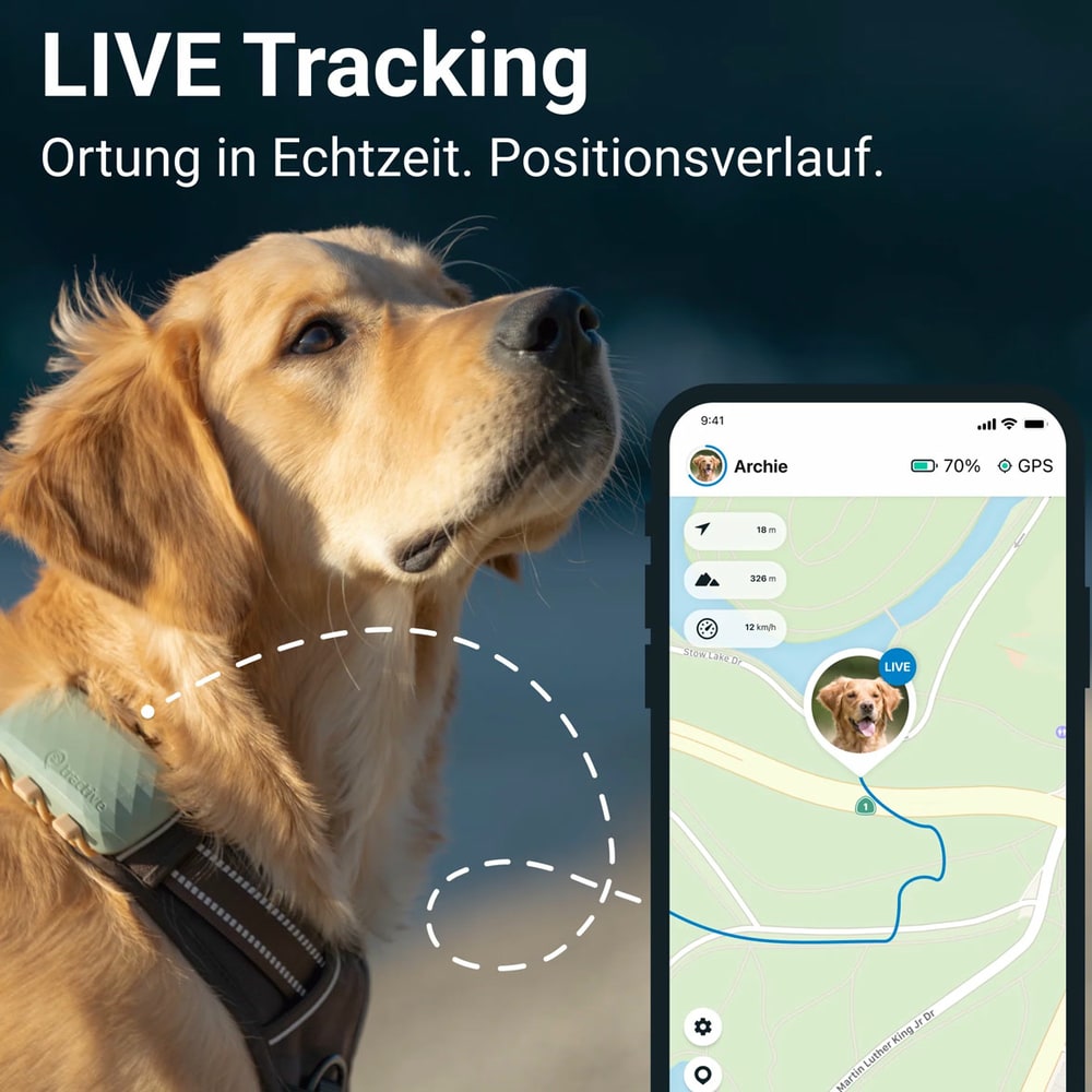 GPS Tracker pour chiens XL