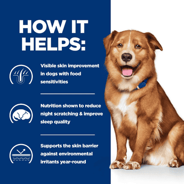 Canine - Derm Complete Original - Can