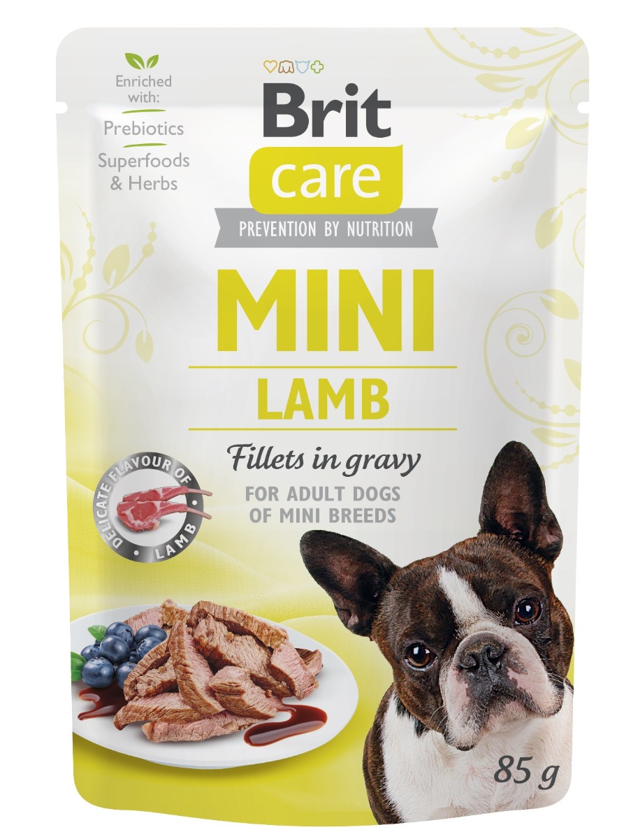 Care Mini Lamb