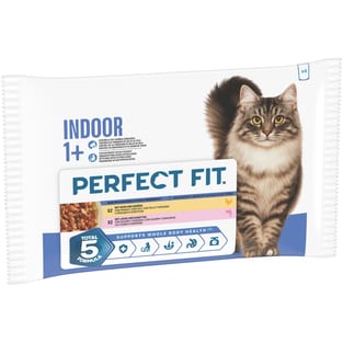 Indoor 1+ Huhn & Lachs