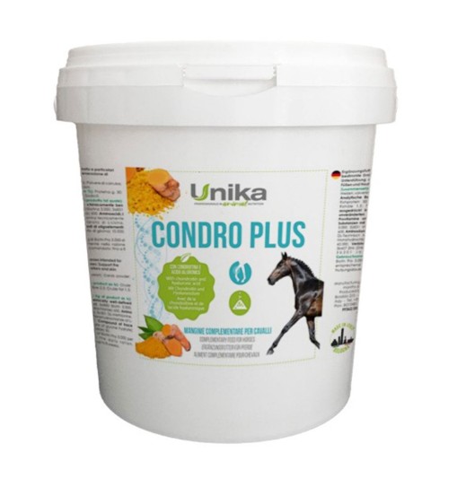 Condro Plus