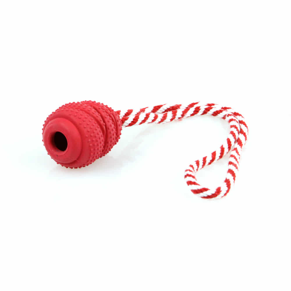 Mighty Champer mit Seil