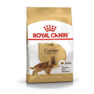 Cocker