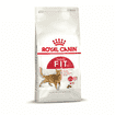 Fit 32