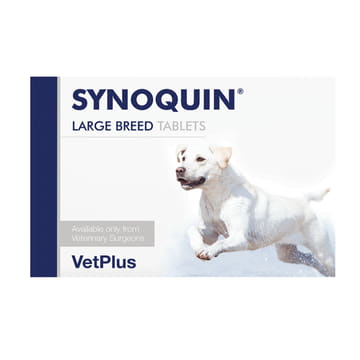 Synoquin
