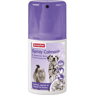 Beruhigungsspray für Hunde und Katzen