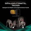 CANINE EN Gastrointestinal